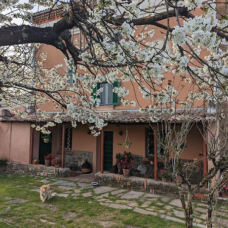 Hotel Dimora Marella Patrica - Frosinone Exterior foto