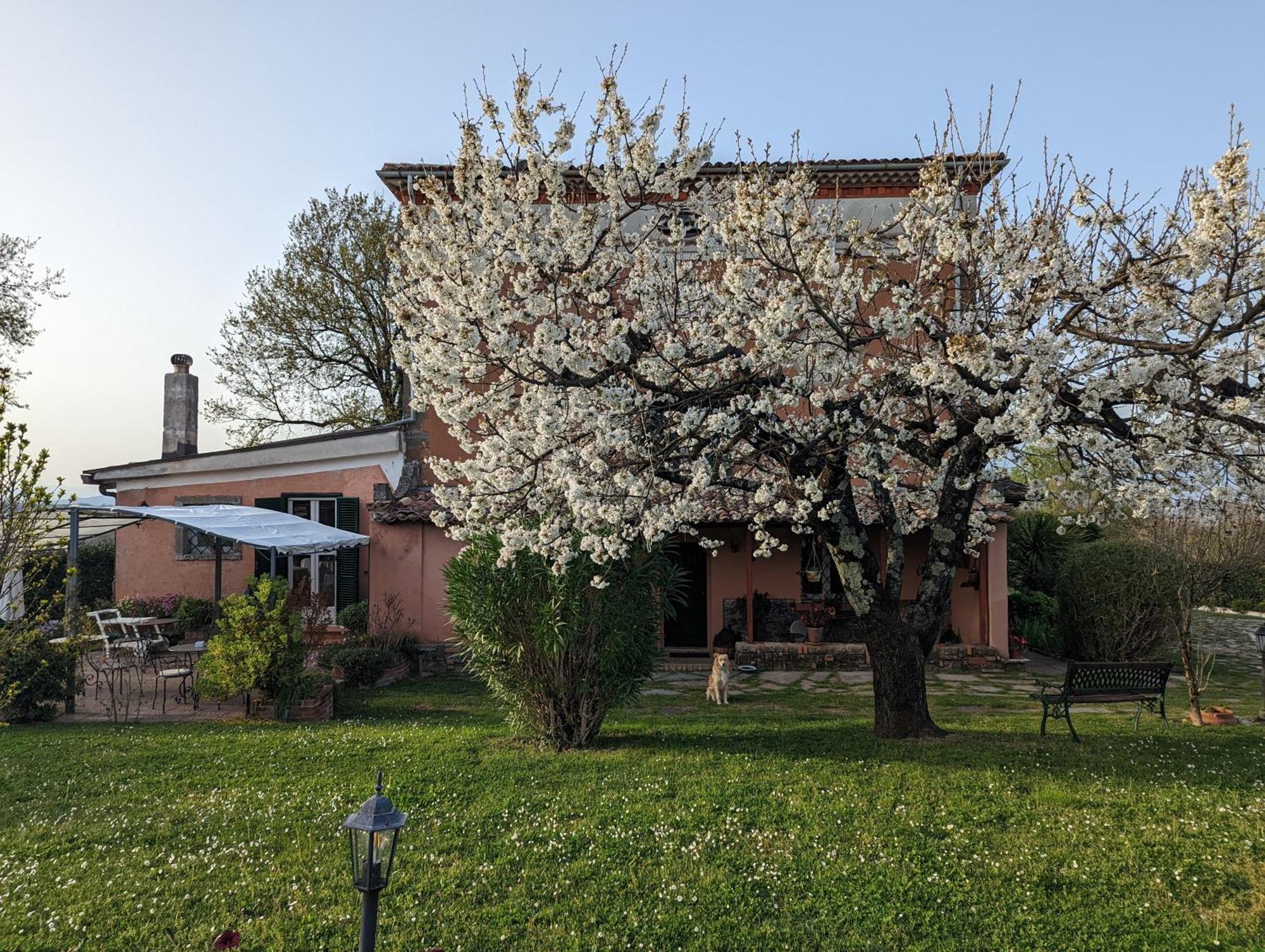 Hotel Dimora Marella Patrica - Frosinone Exterior foto